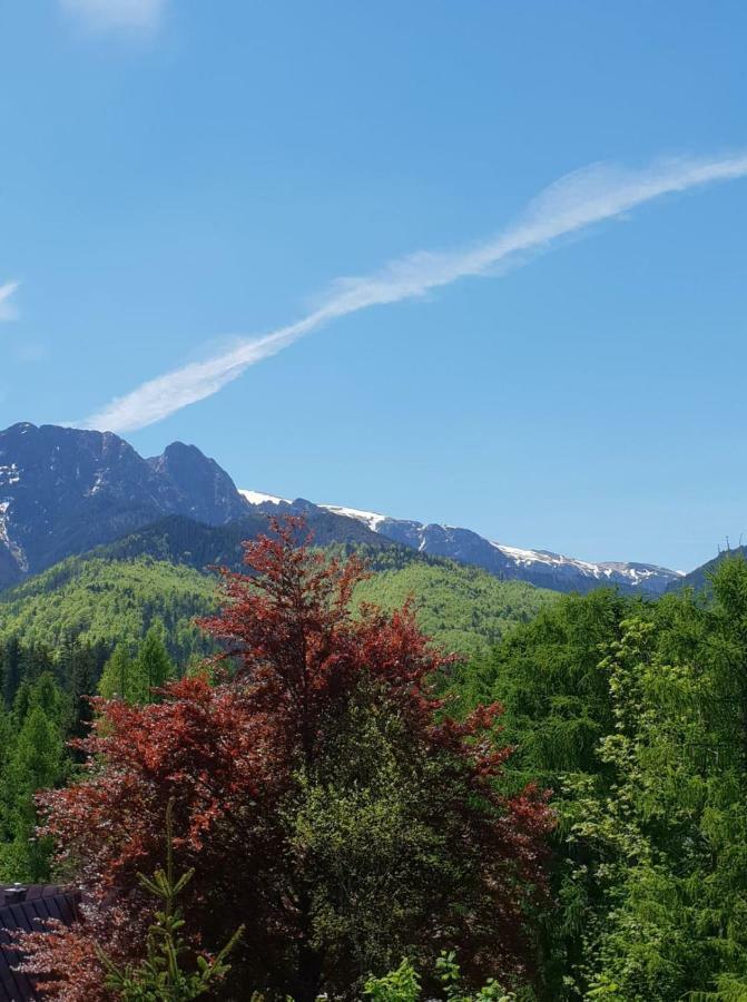 Bel-ami Frühstückspension Zakopane